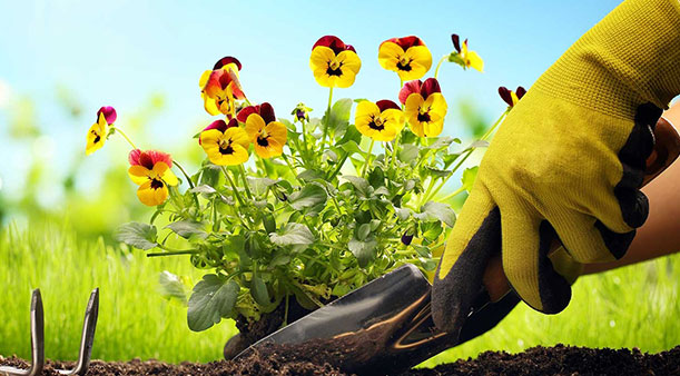 কাজের গ্লাভস কি জন্য ব্যবহৃত হয়?